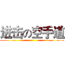 进击の空手道 ()