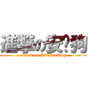 進撃の安纯狗 (attack on AnChunDog)