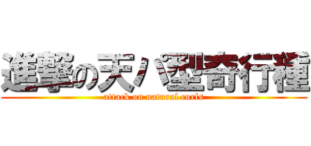 進撃の天パ型奇行種 (attack on natural curls)