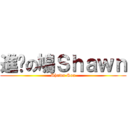 進擊の鳩Ｓｈａｗｎ (Shawn Sou)