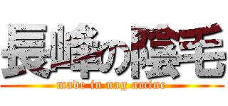 長峰の陰毛 (made in nag amine)