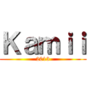 Ｋａｍｉｉ (2013)