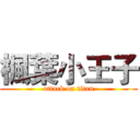 楓葉小王子 (attack on titan)