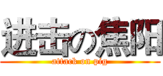 进击の焦阳 (attack on pig)