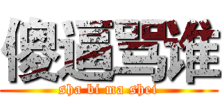 傻逼骂谁 (sha bi ma shei)