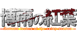 博雨の紅葉 (Autumn leaves of the rainy season)