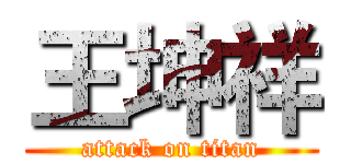 王坤祥 (attack on titan)