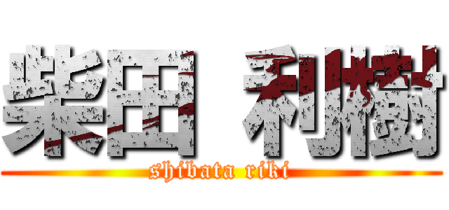 柴田 利樹 (shibata riki)