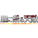 皿に乗る天敵 (green pepper)