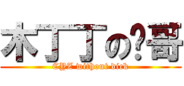 木丁丁の铮哥 (CYZ without dick)