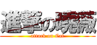 進撃の曉薇 (attack on Cat)
