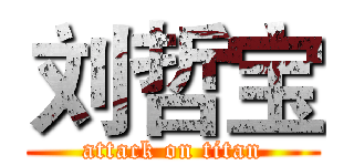 刘哲宝 (attack on titan)