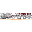 進撃の毛毛米 (attack on titan)