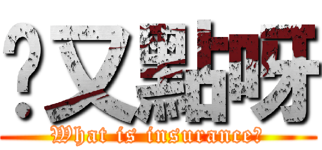 屌又點呀 (What is insurance?)