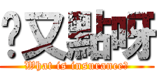 屌又點呀 (What is insurance?)