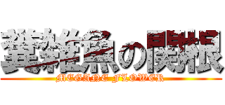 糞雑魚の関根 (MEGANE FLOWER)