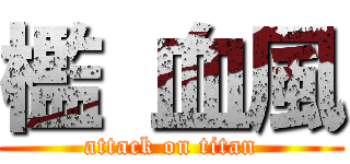 檻 血風 (attack on titan)
