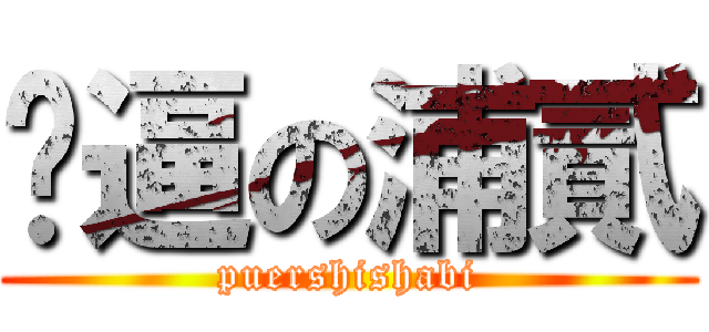 傻逼の浦貳 (puershishabi)