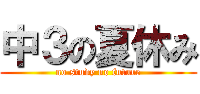 中３の夏休み (no study no future)
