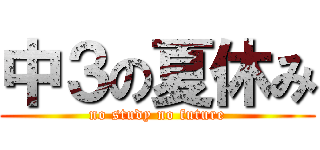 中３の夏休み (no study no future)