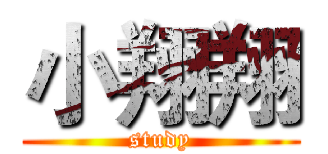 小翔翔 (study)