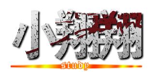 小翔翔 (study)
