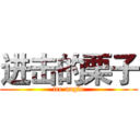 进击的栗子 (ice angle)