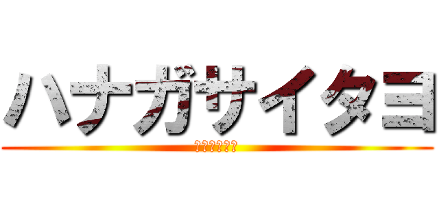 ハナガサイタヨ (ﾊﾙﾀﾞﾖｰ)