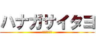 ハナガサイタヨ (ﾊﾙﾀﾞﾖｰ)