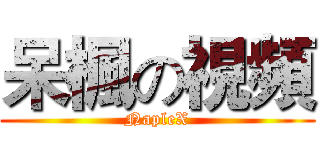 呆楓の視頻 (NapleX)