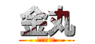 金丸 (激おこ金丸丸)