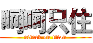 呵呵只住 (attack on titan)