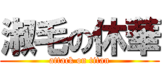 淑毛の休華 (attack on titan)