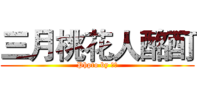 三月桃花人酩酊 (Phpto by 绯樱)