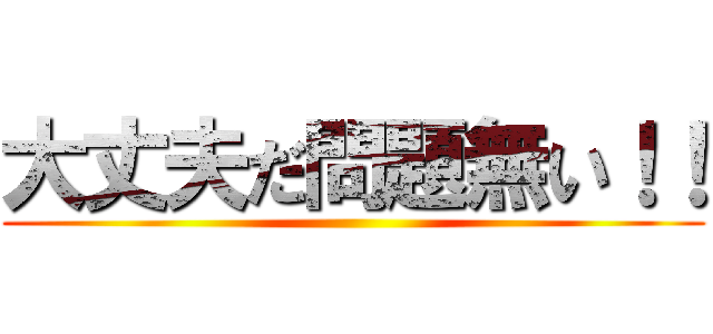 大丈夫だ問題無い！！ ()