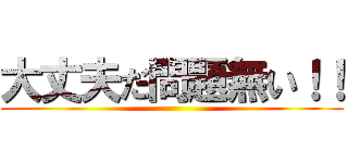 大丈夫だ問題無い！！ ()