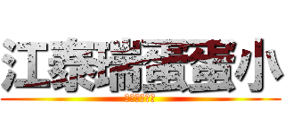 江泰瑞蛋蛋小 (江泰瑞蛋蛋小)