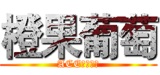 橙果葡萄 (ACE梁山好汉)