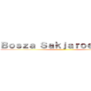 Ｂｏｓｚａ Ｓａｋｊａｒｏｅｎｙｉｎｇ ()