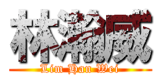 林瀚威 (Lim Han Wei)