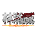 林瀚威 (Lim Han Wei)