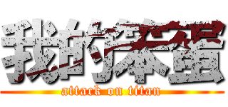 我的笨蛋 (attack on titan)
