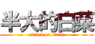 半大的白菜 (attack on titan)