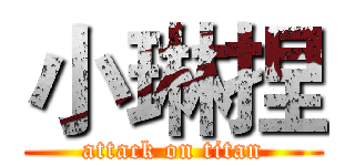 小琳捏 (attack on titan)