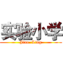 实验小学 (Jiao  Ling)