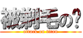 被剃毛の貓 (attack on titan)