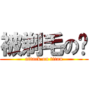 被剃毛の貓 (attack on titan)