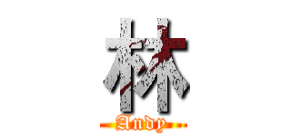林 (Andy)