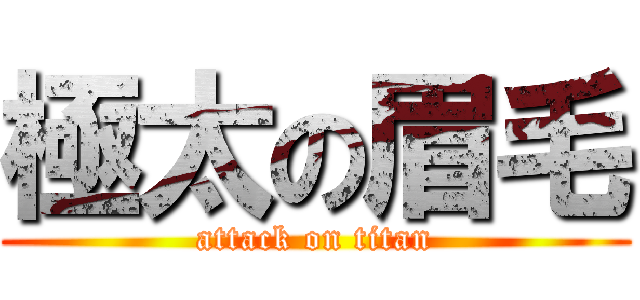 極太の眉毛 (attack on titan)