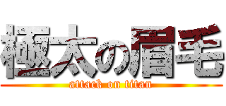 極太の眉毛 (attack on titan)